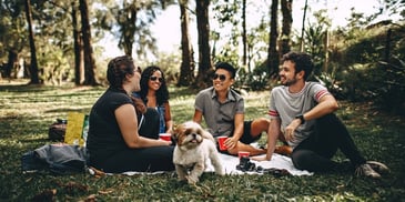 friends-having-a-picnic