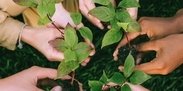 hands-planting-in-soil