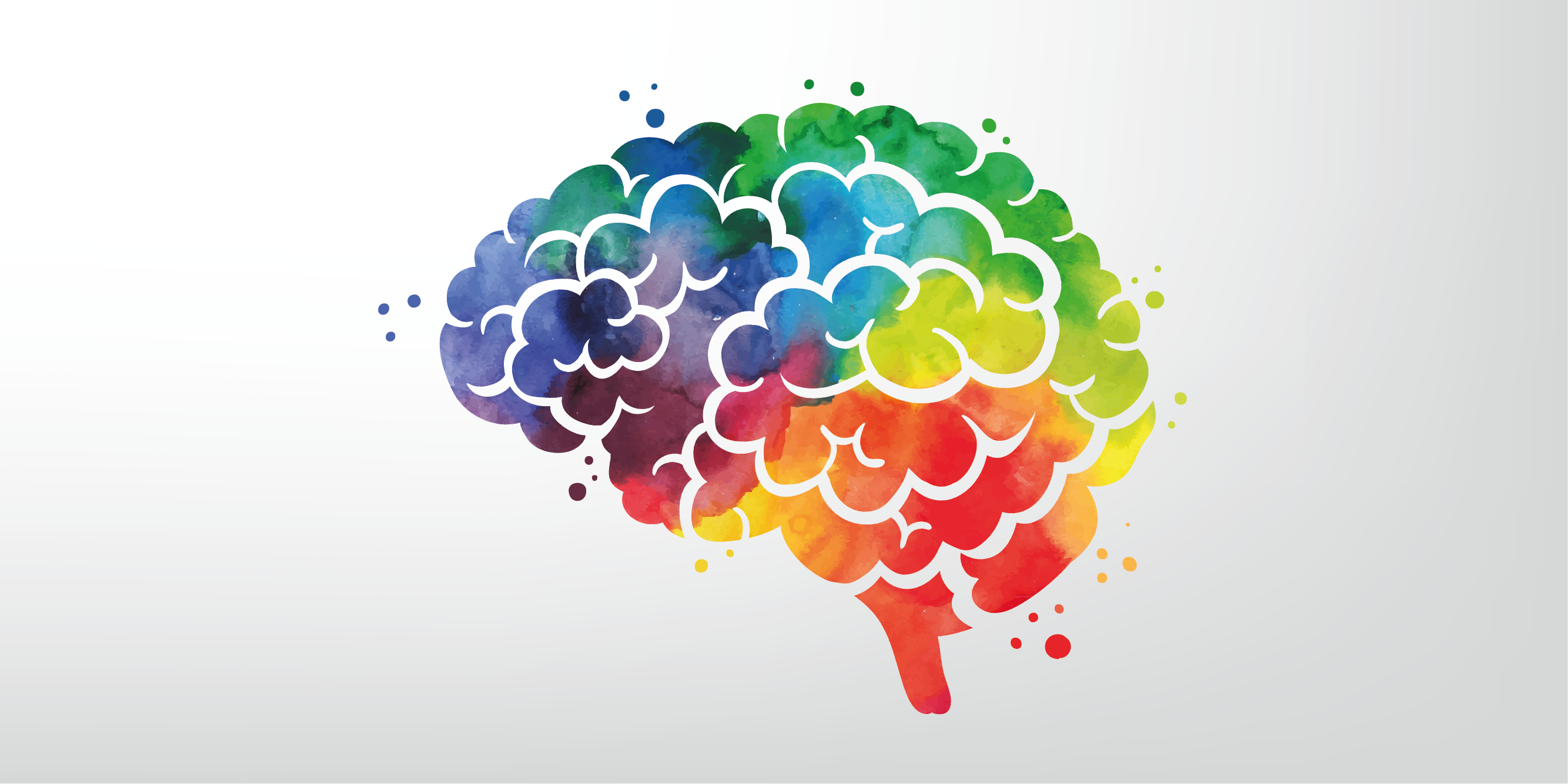 brain